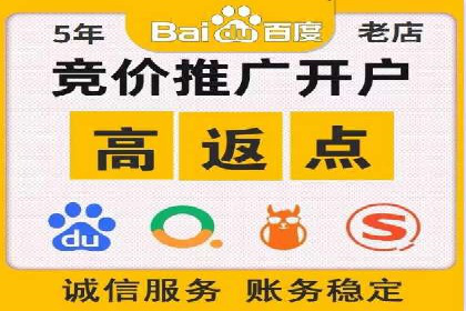 SEO百度推广策略：成功案例解析